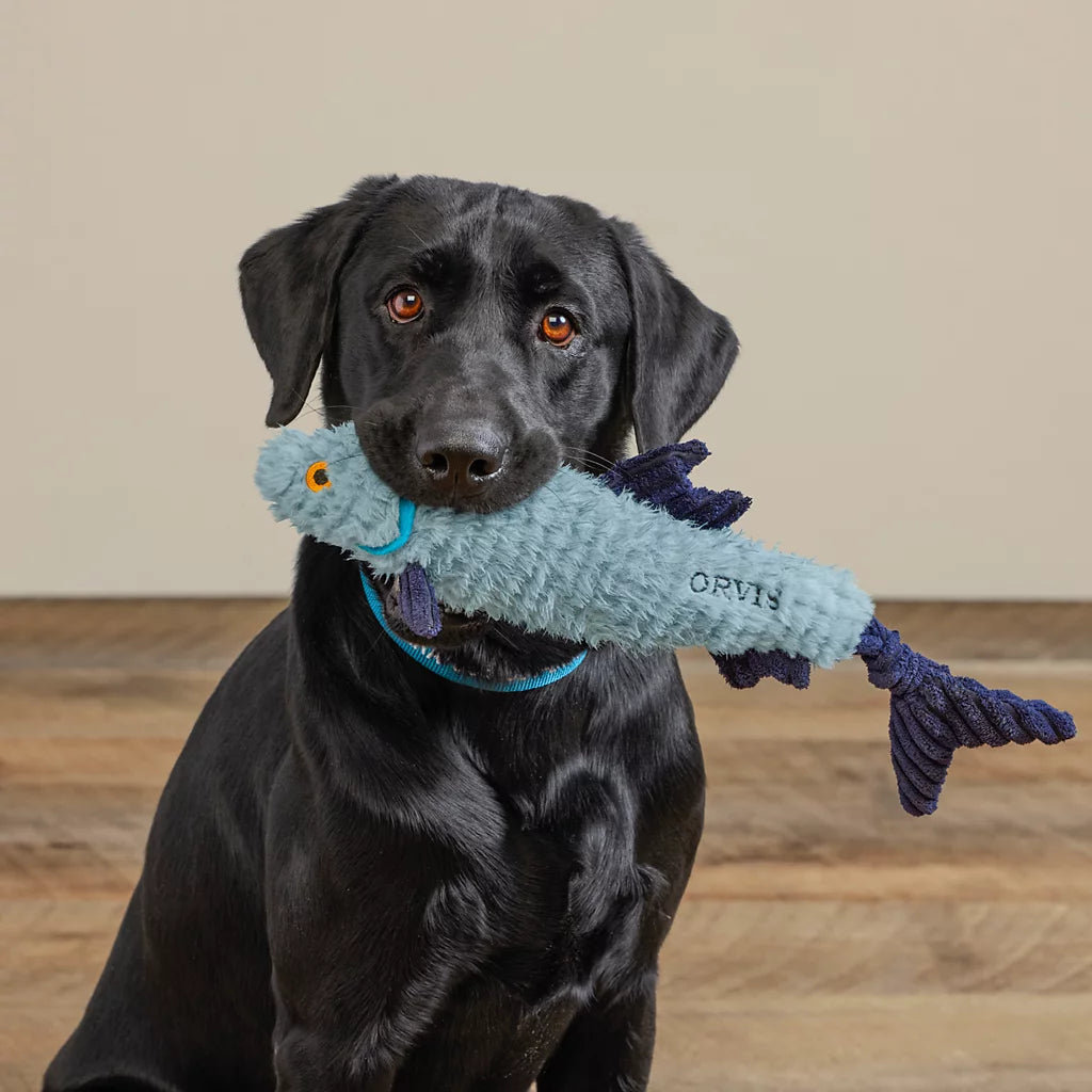 Animal Squeaky Toy - Tarpon
