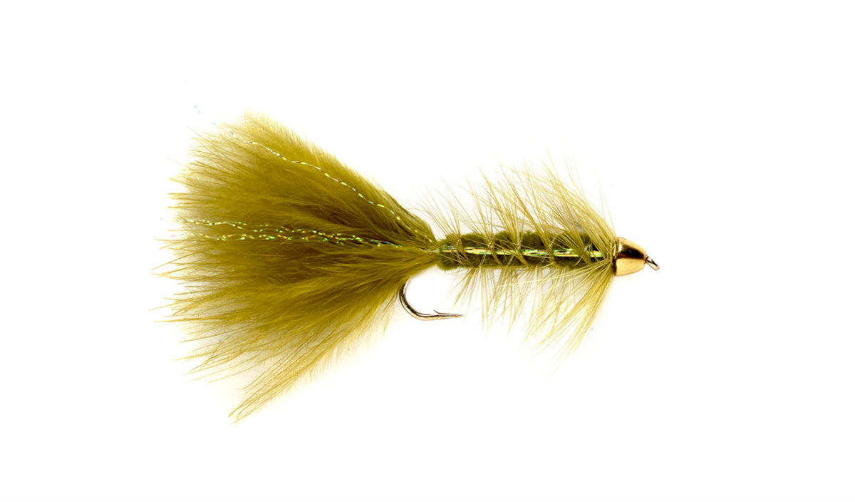 400515_Olive_01.jpg