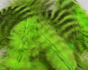 Hareline Grizzly Soft Hackle