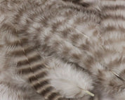 Hareline Grizzly Soft Hackle