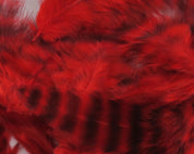 Hareline Grizzly Soft Hackle