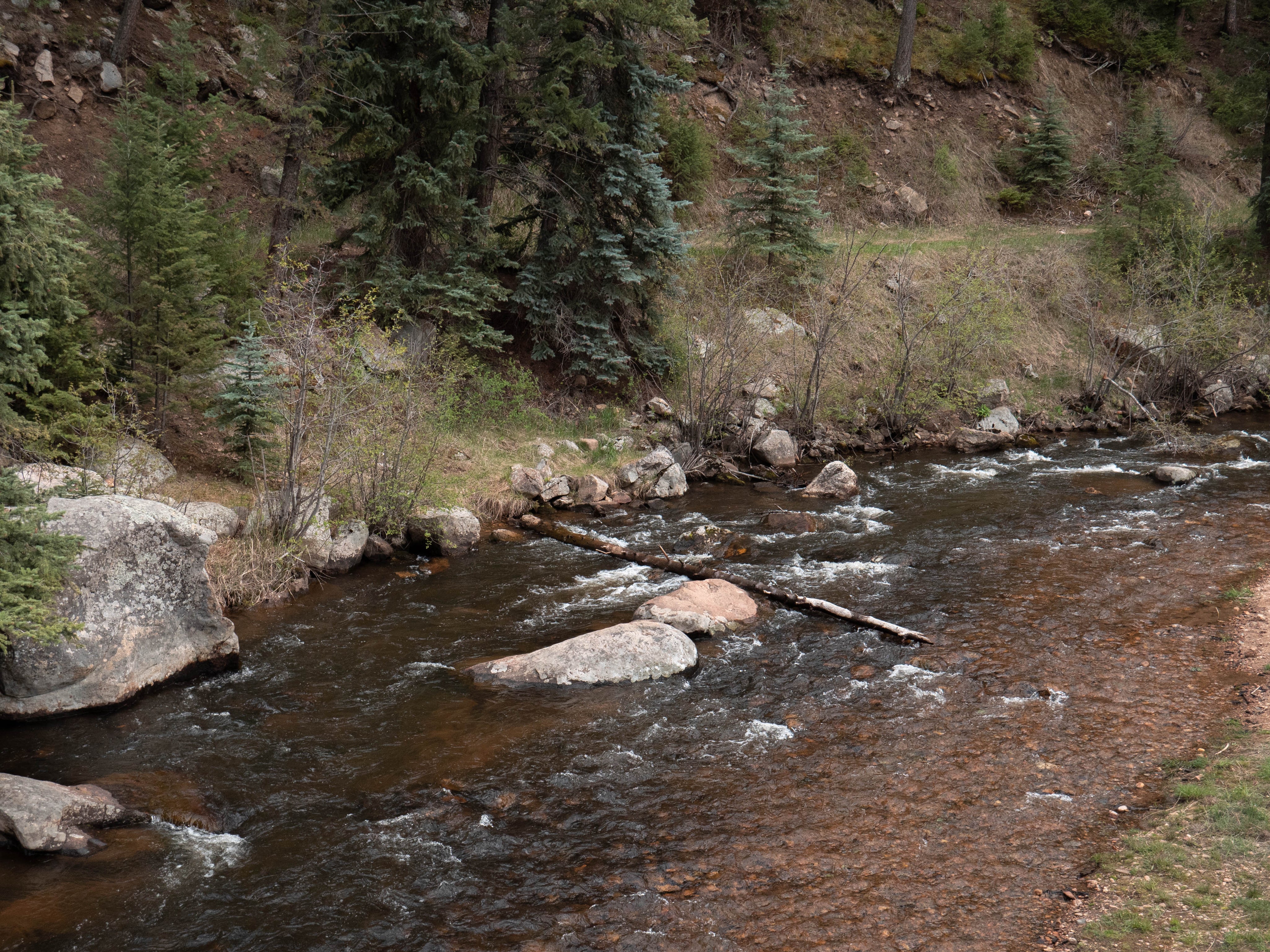 The Big Thompson Custom Fly Selection