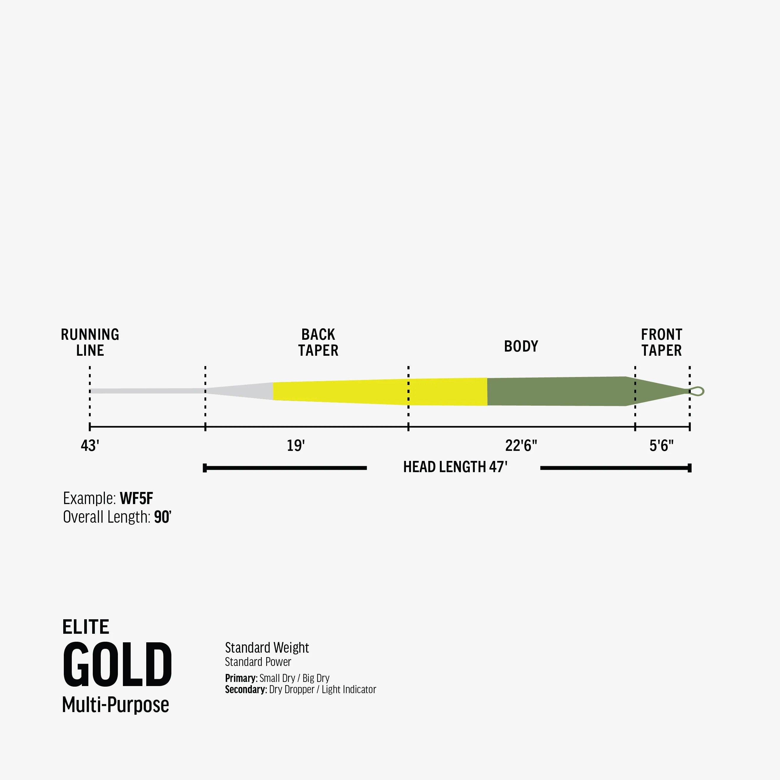 Rio Elite Gold Fly Line | Anglers All