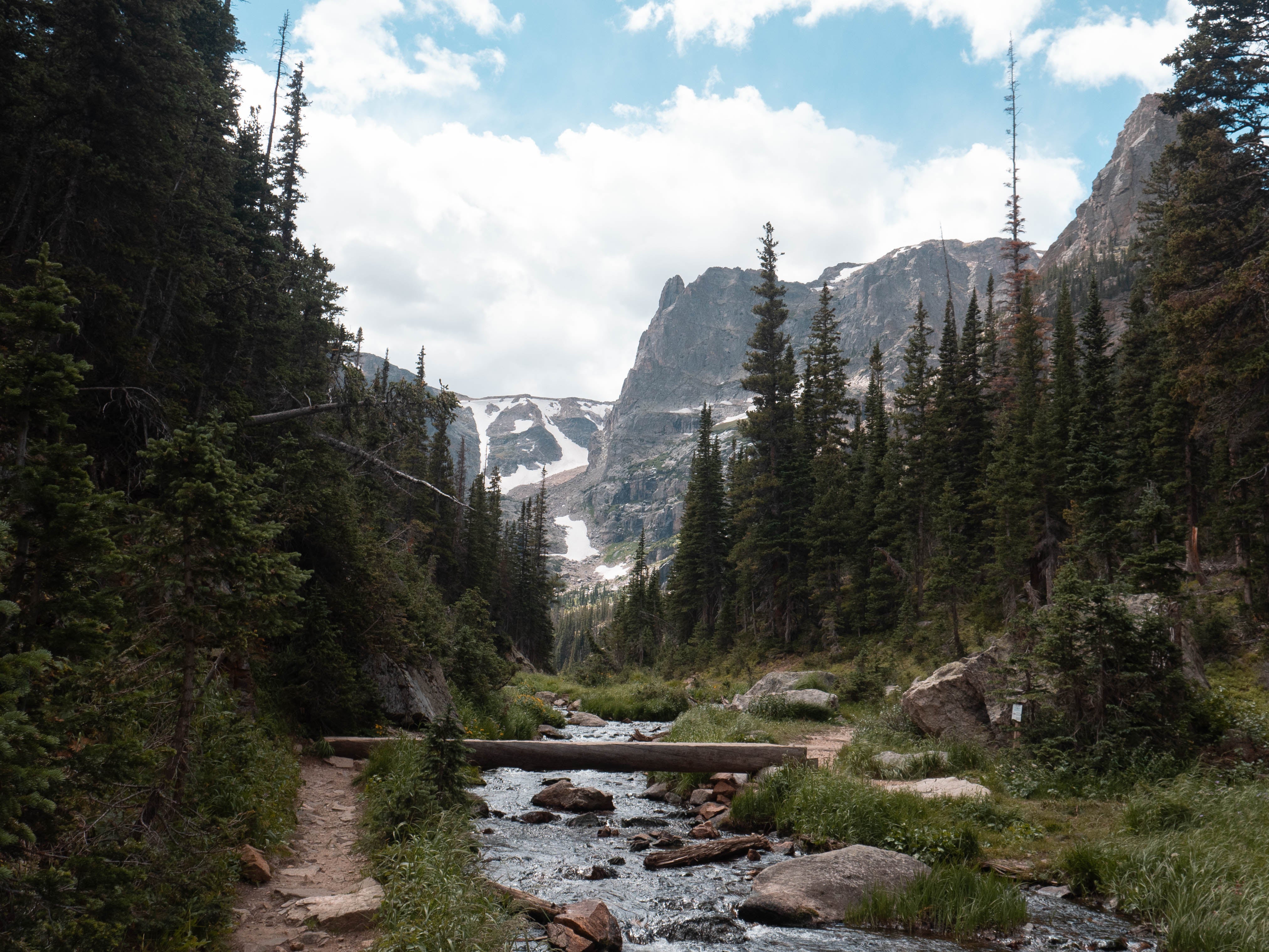 Colorado High Country Custom Fly Selection