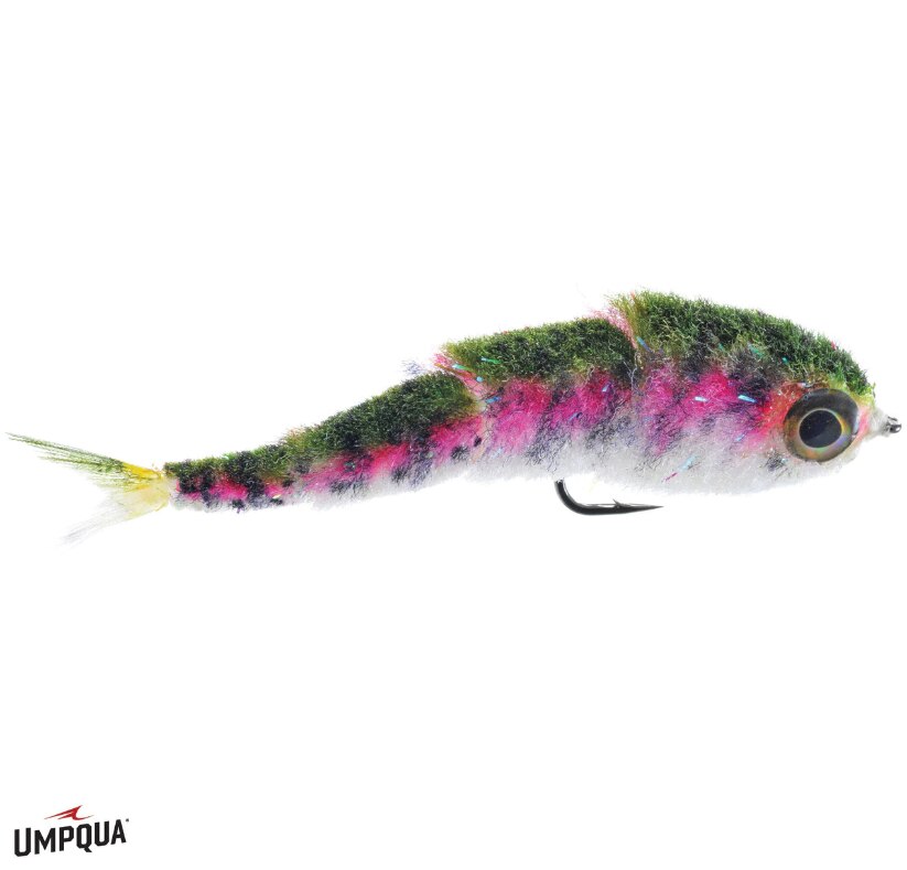 Gamechanger - Umpqua Fly