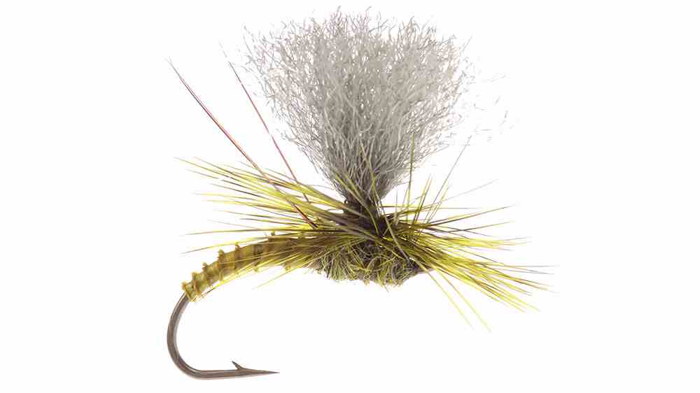 Christiaens' GT Adult - MFC Fly