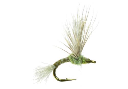 Improved Sparkle Dun - Umpqua Fly