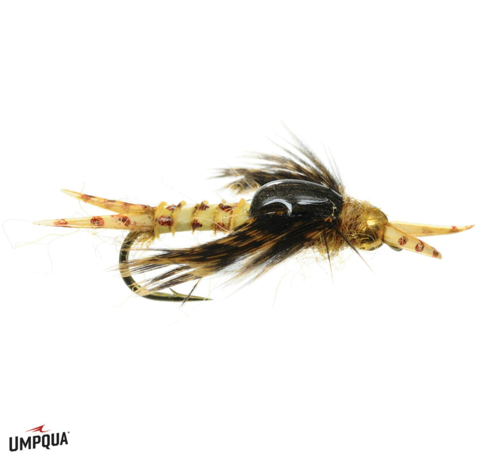 Biot Epoxy Stone - Umpqua Fly
