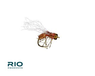 Anty Raid - RIO Fly
