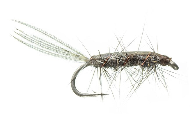 Rickard's Callibaetis - MFC Fly