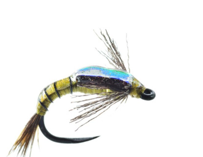 Gunkel's Shotglass Baetis - Umpqua Fly