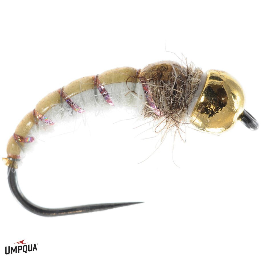 Egan's GTI Caddis - Umpqua Fly
