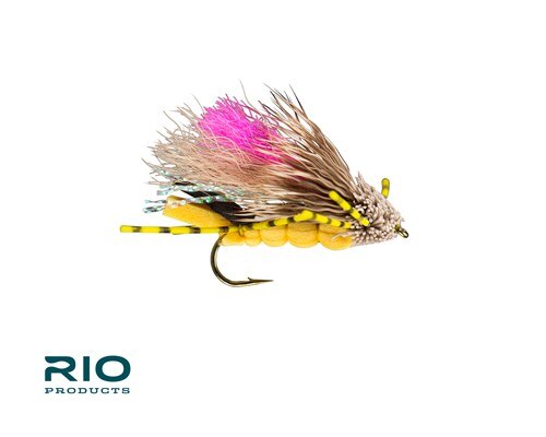 Tantrum - RIO Fly