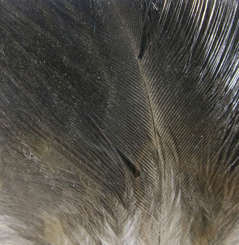 Hareline Gallo De Leon Saddle Feathers