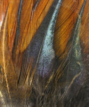 Hareline Gallo De Leon Saddle Feathers