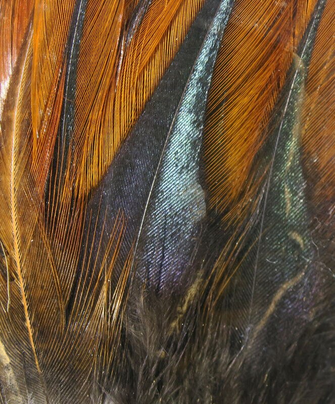 Hareline Gallo De Leon Saddle Feathers