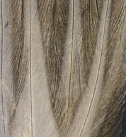 Hareline Gallo De Leon Saddle Feathers