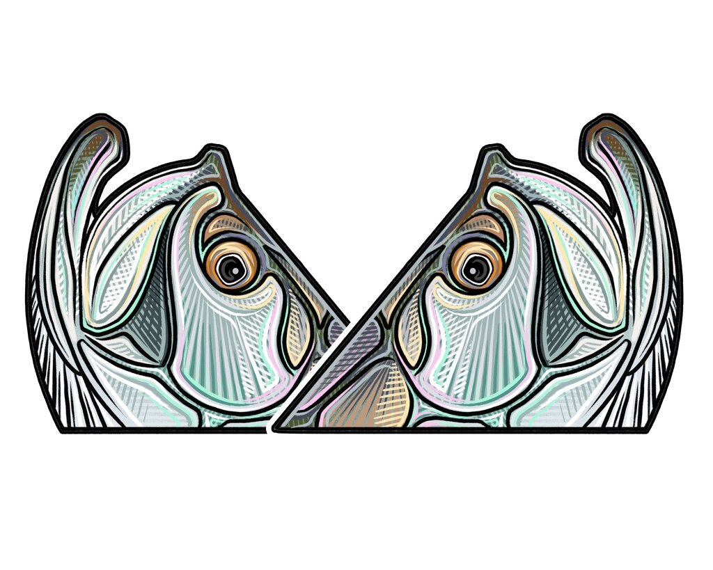 Casey Underwood's Tarpon Roll Decal