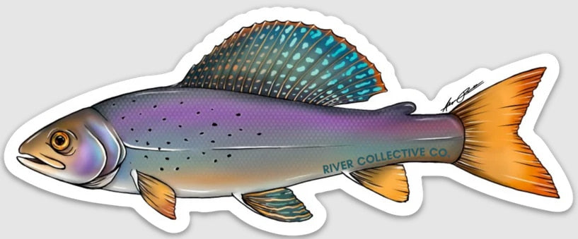 River Collective Co. Trout Stickers