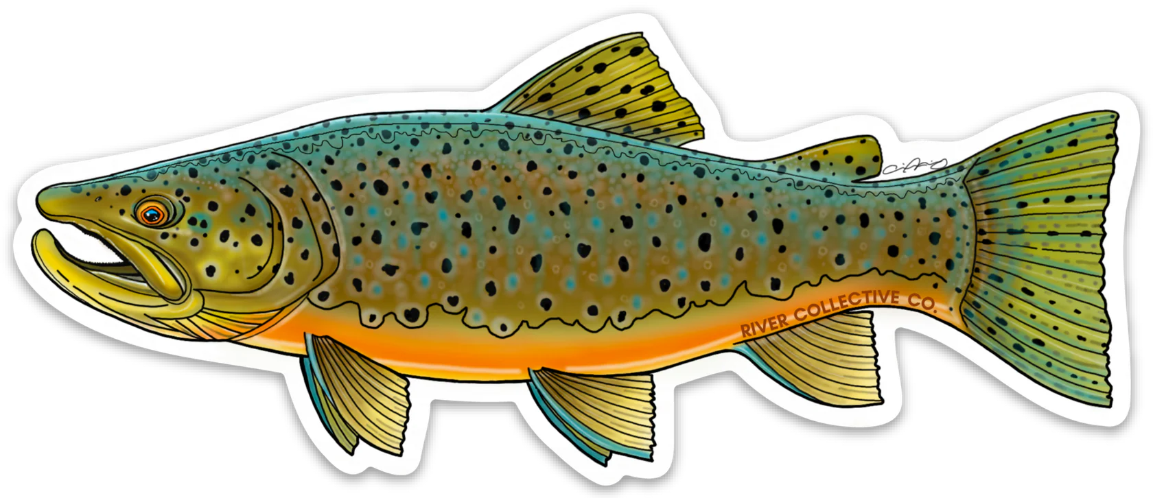 River Collective Co. Trout Stickers