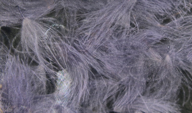 Hareline CDC Oiler Puffs