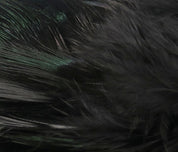 Hareline Strung Ringneck Rump Feathers