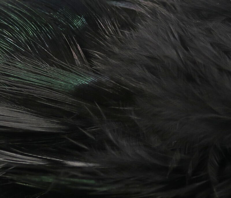 Hareline Strung Ringneck Rump Feathers