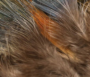 Hareline Strung Ringneck Rump Feathers