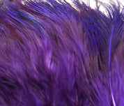 Hareline Strung Ringneck Rump Feathers