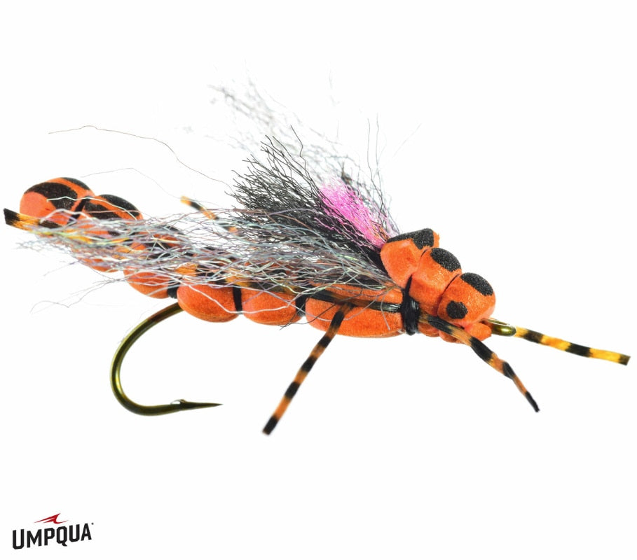 Morningwood Special - Umpqua Fly