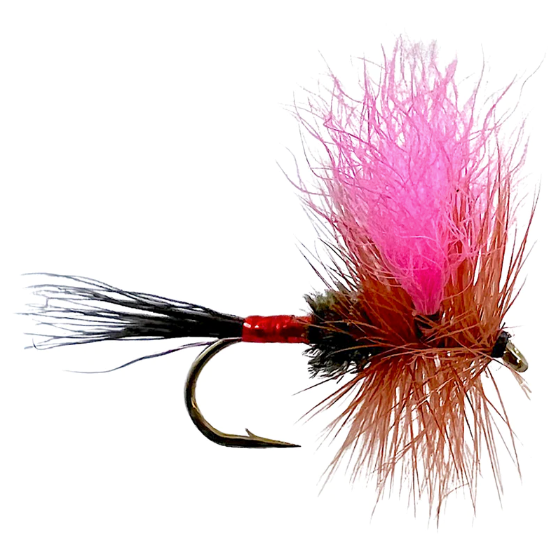 403237_Cherry_01.png