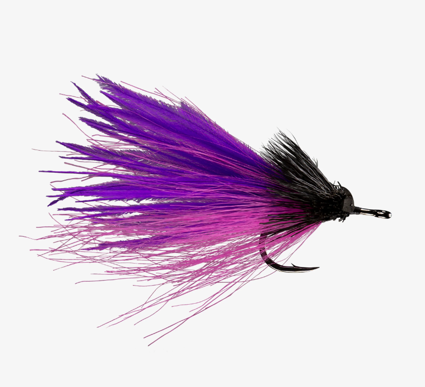 403564_Purple_01.png