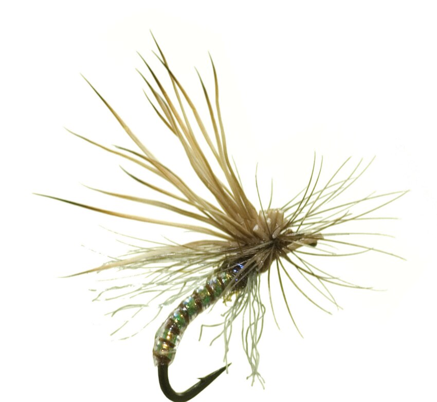 Mercer's Missing Link Caddis - Umpqua Fly