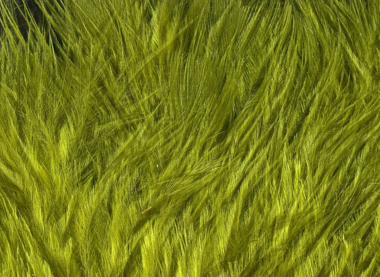 Hareline Woolly Bugger Marabou