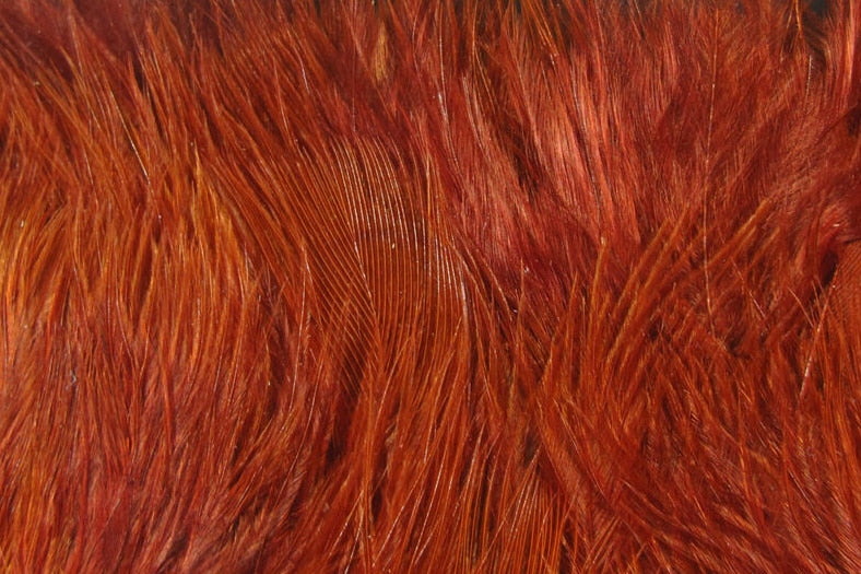 Hareline Woolly Bugger Marabou