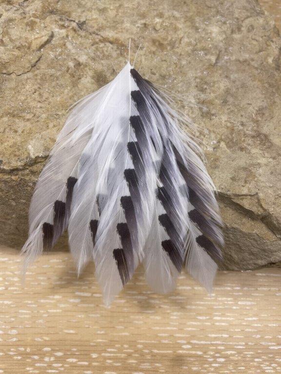 Galloup’s Fish Feathers – Shark Fin