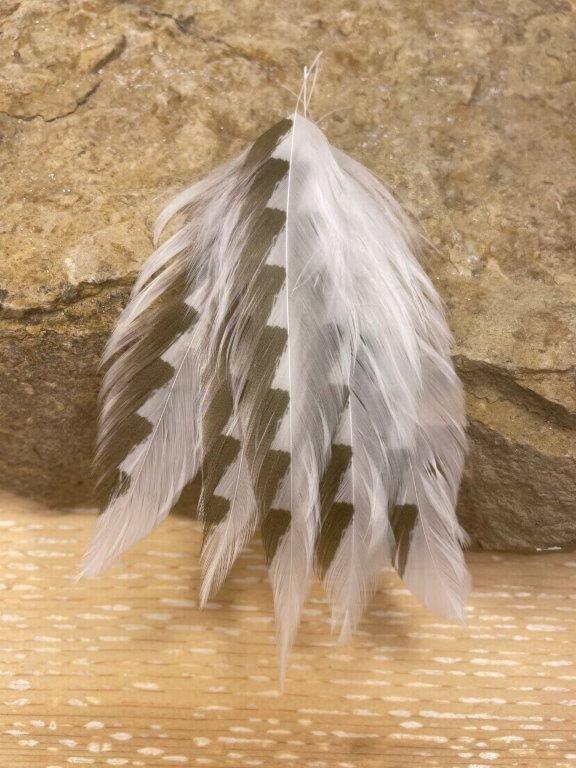 Galloup’s Fish Feathers – Shark Fin