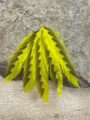 Galloup’s Fish Feathers – Shark Fin