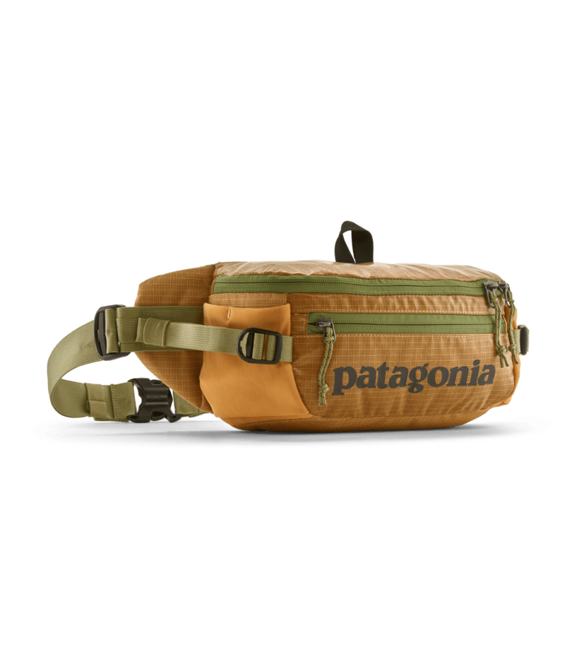 Patagonia Black Hole Waist Pack 5L