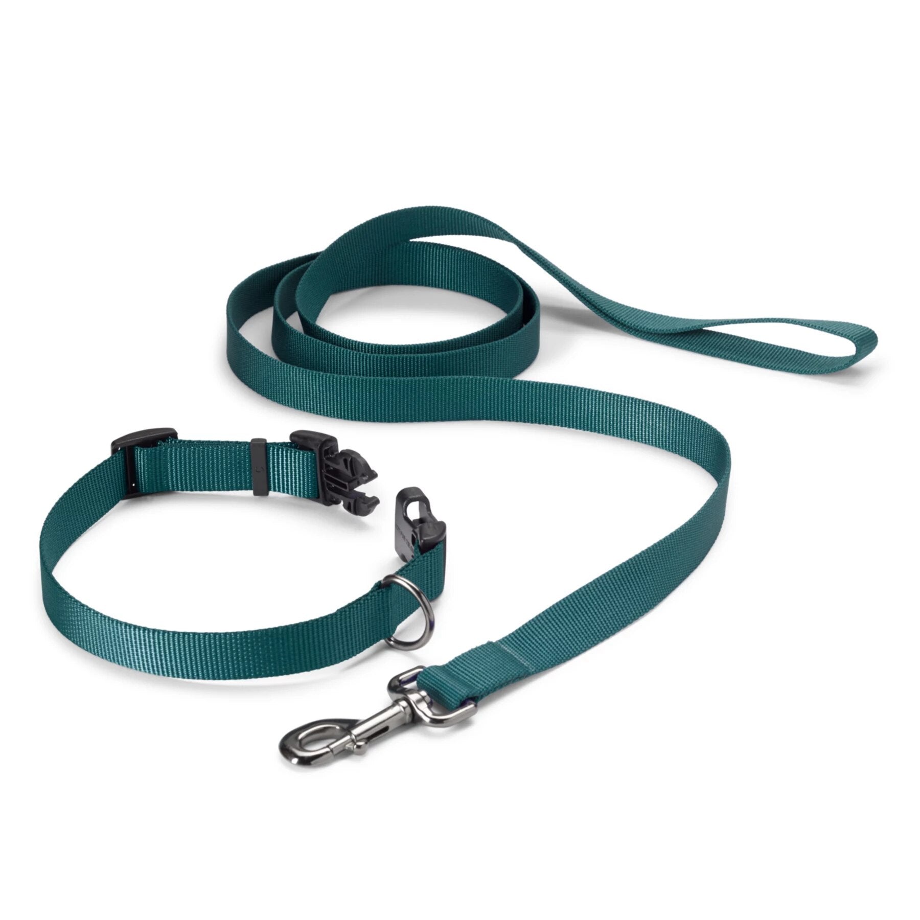 Orvis Adjustable Dog Collar with Leash
