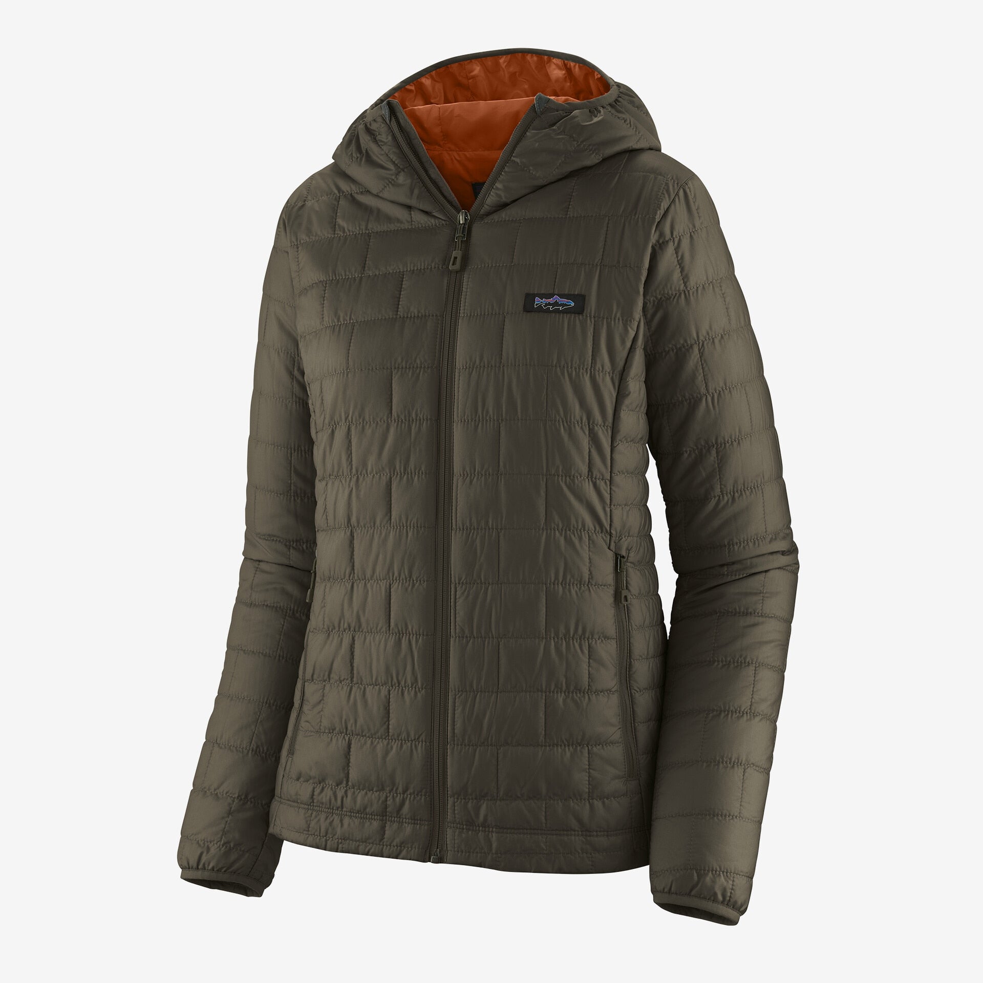 Patagonia Women's Nano Puff Fitz Roy Trout Hoody