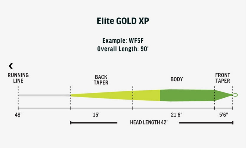 Rio Elite Gold XP Fly Line | Anglers All