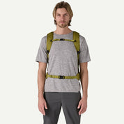 Patagonia Black Hole Mini MLC 30L