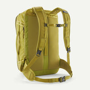Patagonia Black Hole Mini MLC 30L