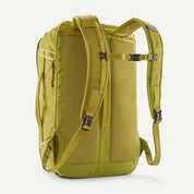 Patagonia Black Hole Mini MLC 30L