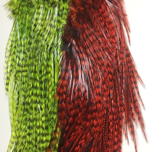 Whiting Farms CDL Predator Pack