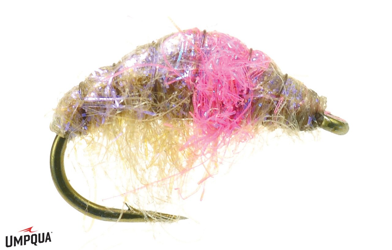 Hunchback Scud - Umpqua Fly
