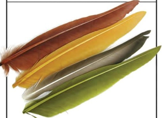 Wapsi Duck Quills - 2 Pair