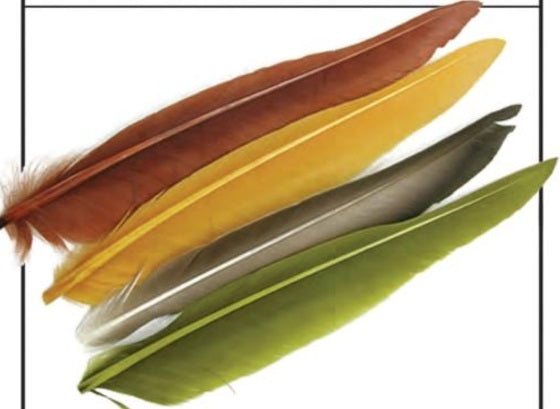 800_45-duck-quills-142122.jpg