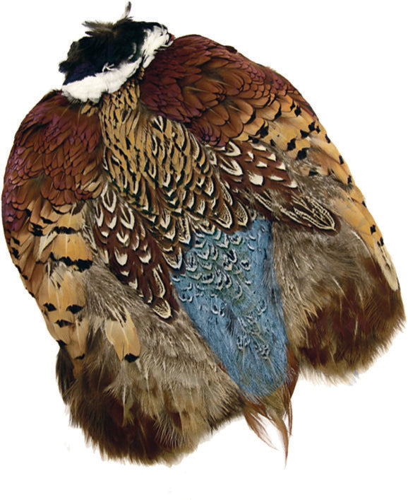 Wapsi Ringneck Pheasant Skin